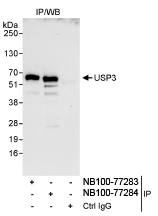 NB100-77283 - USP3