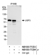 NB100-77284 - USP3