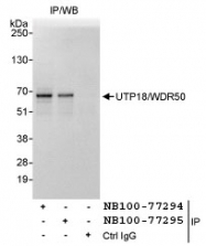 NB100-77295 - WDR50 / UTP18