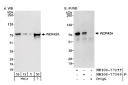 NB100-77299 - WDR42A