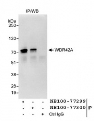 NB100-77300 - WDR42A