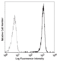 NB100-77760 - CD15
