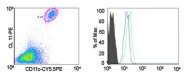 PAB0176 - CD191 / CCR1