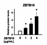 PAB0318 - ZBTB10