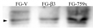 PAB0612 - SRC1