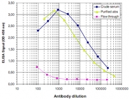 PAB0646 - MeCP2