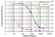 PAB0652 - Histone H3.3