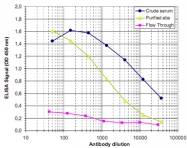 PAB0656 - Histone H3.3