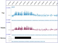 PAB0656 - Histone H3.3