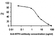 PAB0760 - Neurotrophin 4 / NTF4