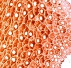 PAB11920 - Cytokeratin 14