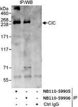 PAB12457 - CIC