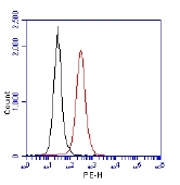 PAB12506 - TP53BP1