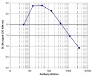 PAB14046 - DNMT3B