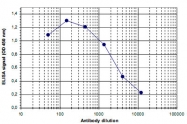 PAB14071 - JMJD2B / KDM4B