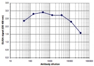 PAB14082 - Histone H3