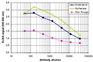 PAB14111 - Histone H3