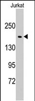 PAB2965 - EPRS