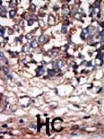 PAB3289 - NEK9