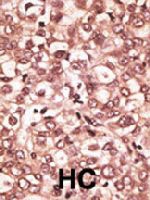 PAB3553 - CD286 / TLR6