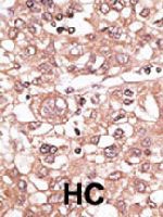 PAB3557 - TLR7