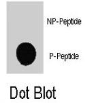 PAB8119 - RAF1