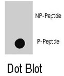 PAB8133 - RAF1