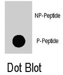 PAB8136 - PIK3CD