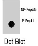 PAB8173 - NOMO1