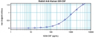 PP1101P1 - GM-CSF