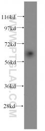 15770-1-AP - ACAD9