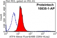 10835-1-AP - ATF4