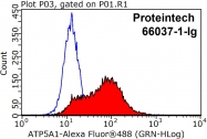 66037-1-Ig - ATP synthase subunit alpha