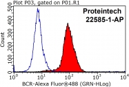 22585-1-AP - BCR