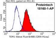 18160-1-AP - CD248 / TEM1
