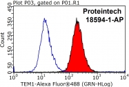 18594-1-AP - CD248 / TEM1