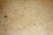 17415-1-AP - EVI2A