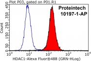 10197-1-AP - HDAC1