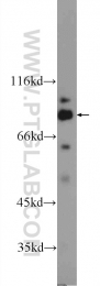 25230-1-AP - IFT80