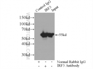 11312-1-AP - IRF3