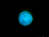 10587-1-AP - RBM15