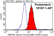 15187-1-AP - RBPMS / HERMES