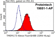 19851-1-AP - TMEM173 / STING