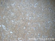 25040-1-AP - TPPP