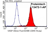 13472-1-AP - VASP