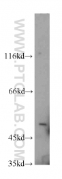 15608-1-AP - VRK3