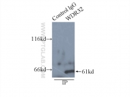 20483-1-AP - WDR32