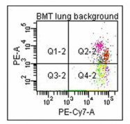 R1038B - Collagen type I