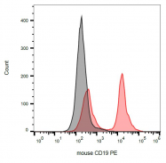 SM1050PE - CD19