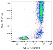 SM1070PS - CD13